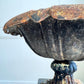Antique Handyside Style Cast Iron Tazza Urn on Plinth 19th Century