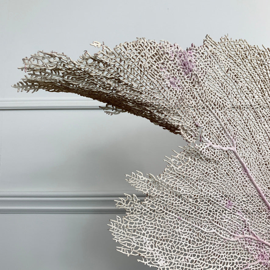Natural Purple Sea Fan Coral mounted on a vintage brass base