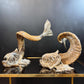 Gabriella Crespi 'Coppia di Delfini' Pair of Rams Horn and Silvered Bronze Mythical Dolphins Each Signed to Base