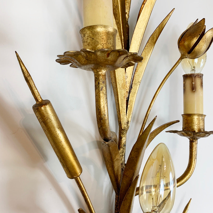 1960's Statement Gold French Bulrush Wall Sconce