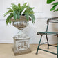 19th Century White Terracotta Tazza Urn on Plinth
