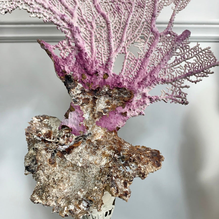 Natural Purple Sea Fan Coral mounted on a vintage brass base
