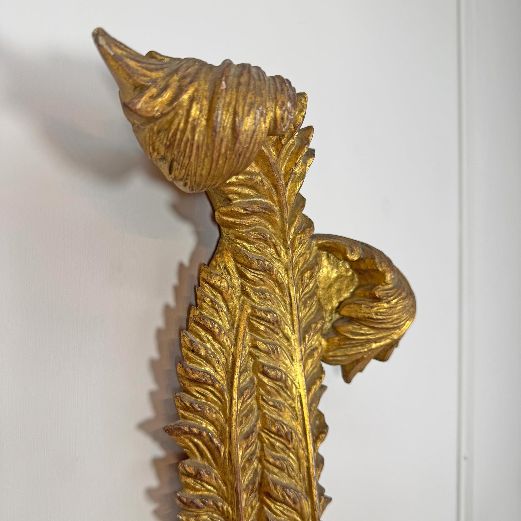 19th Century Giltwood Italian Feather Wall Lights