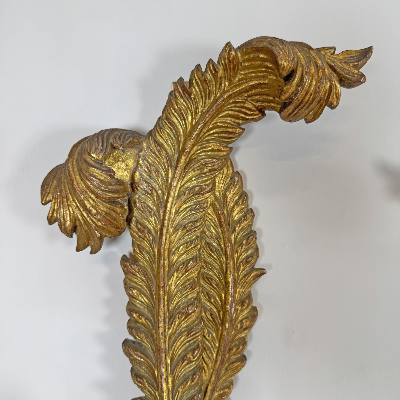 19th Century Giltwood Italian Feather Wall Lights