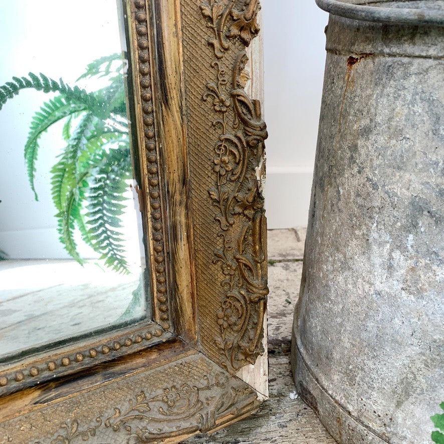 19th Century French Crested Gold Gesso Mirror