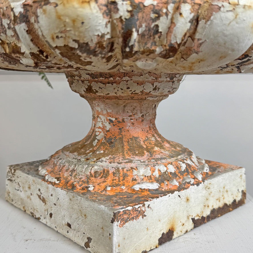 19th Century Cast Iron French Tazza Urn