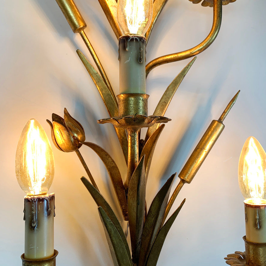 1960's Statement Gold French Bulrush Wall Sconce