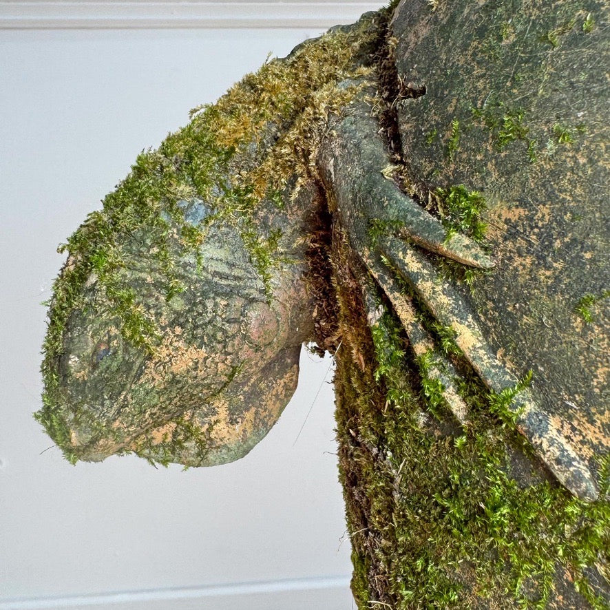 Vintage Bearded Dragon Lizard Terracotta Garden Urn