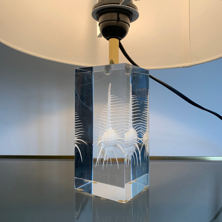 Pierre Giraudon Resin Suspension Shell Desk Lamp