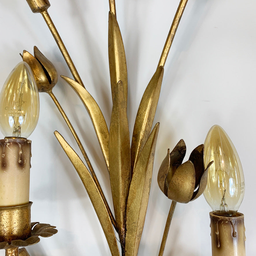 1960's Statement Gold French Bulrush Wall Sconce