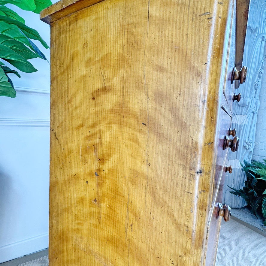 Biedermeier Scumble and Faux Burlwood Painted Chest of Drawers