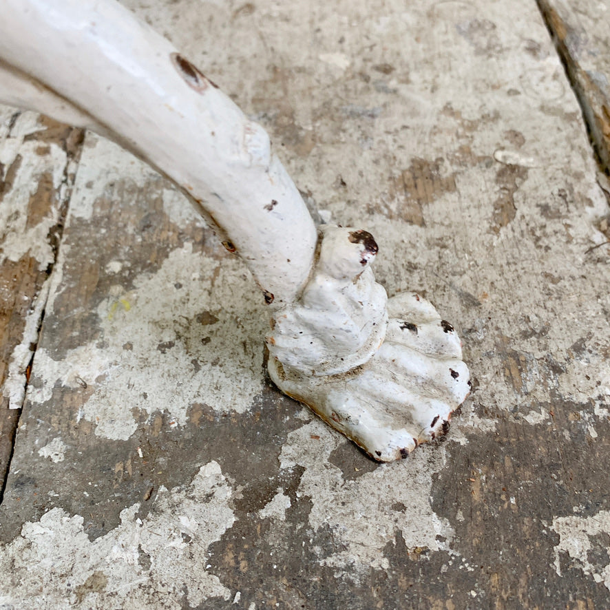19th Century White Lions Paw Arras Orangery Chair