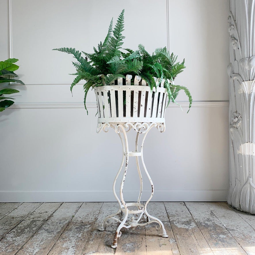 White Arras Jardiniere late 19th Century