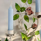 1950's Italian Hand Painted Budgie Wall Sconce