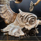 Gabriella Crespi 'Coppia di Delfini' Pair of Rams Horn and Silvered Bronze Mythical Dolphins Each Signed to Base