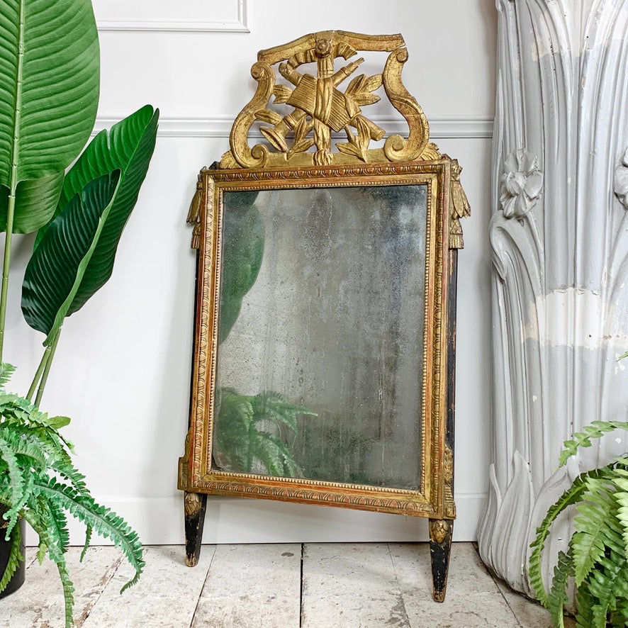 Superb Large 18th Century Louis XVI Gilt Wood Mirror