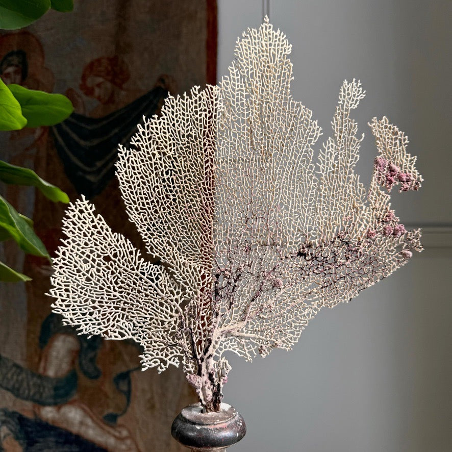 Wood and Gesso Altar Vase in Rose Silver 18th Century Italian