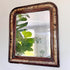 An antique rectangular wall mirror with a distressed dark brown and gold-toned frame, reflecting green houseplants against a light wall.