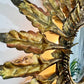 Gilt Spanish Sunburst Mirror with Light 1930's