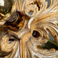 Silver Giltwood Florentine Flush Mount Light