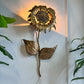 Sunflower Wall Light in brass signed by P Mas Rossi 1970's
