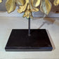 19th Century Gilt Wooden Ceiling Rose On Stand