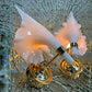 Barovier and Toso Pink Murano Glass Wall Lights