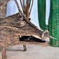 Woven Dream Spirit Wild Pig, Papua New Guinea