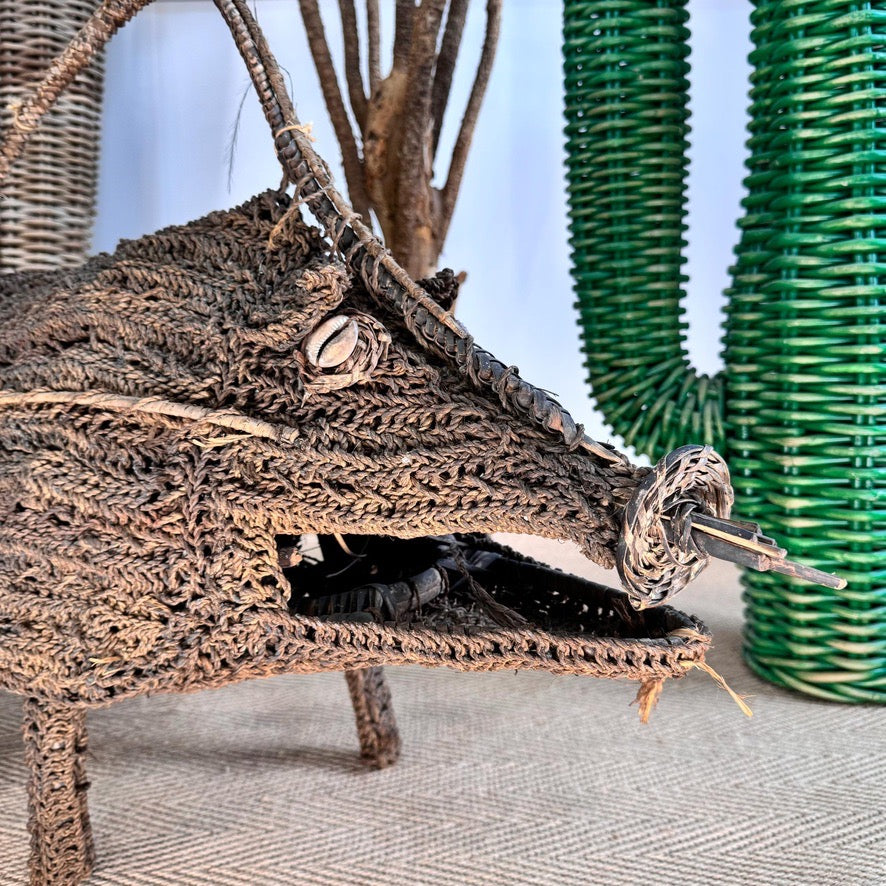 Woven Dream Spirit Wild Pig, Papua New Guinea