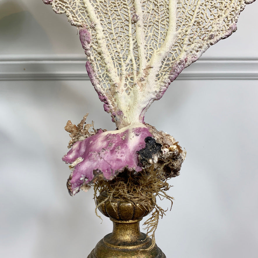 Natural Sea Fan Coral on Gilt Base