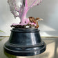 Impressive Purple Natural Sea Fan Coral with an Ebonised Base