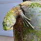 Vintage Bearded Dragon Lizard Terracotta Garden Urn
