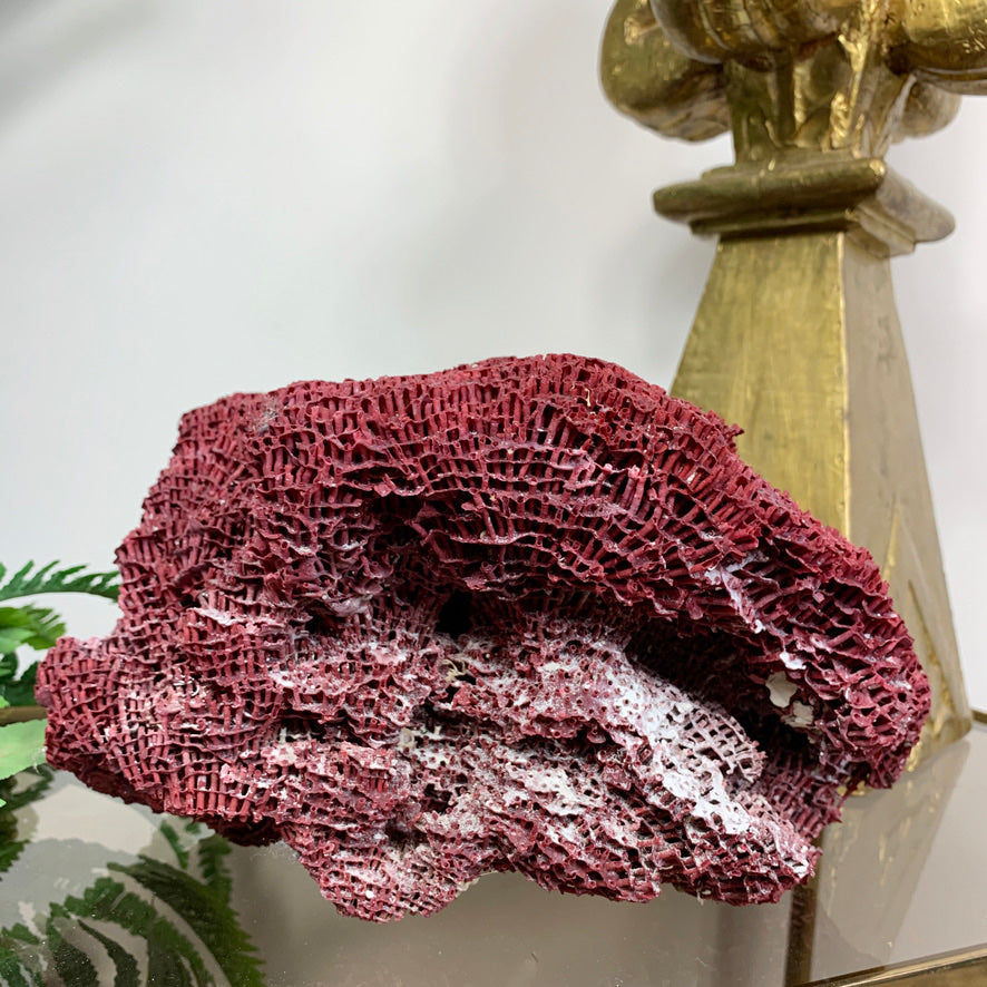 Vintage Red Natural Sea Coral
