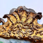 Queen Anne Giltwood Split Plate Mirror