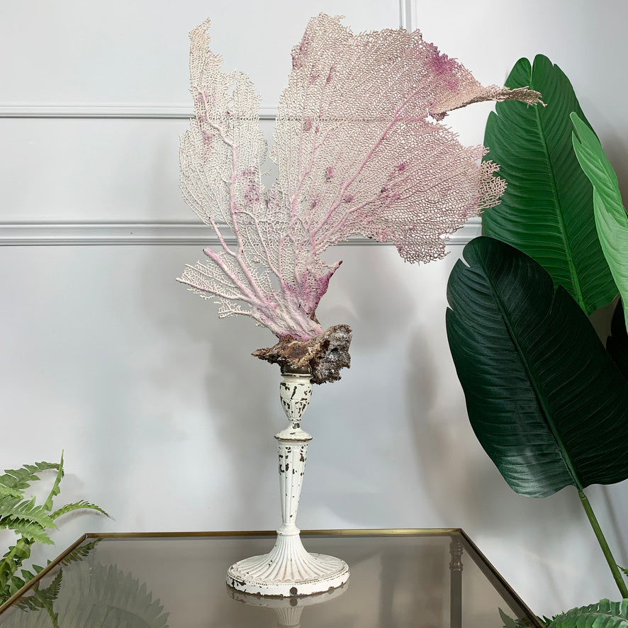 Natural Purple Sea Fan Coral mounted on a vintage brass base