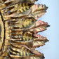 Gilt Spanish Sunburst Mirror with Light 1930's