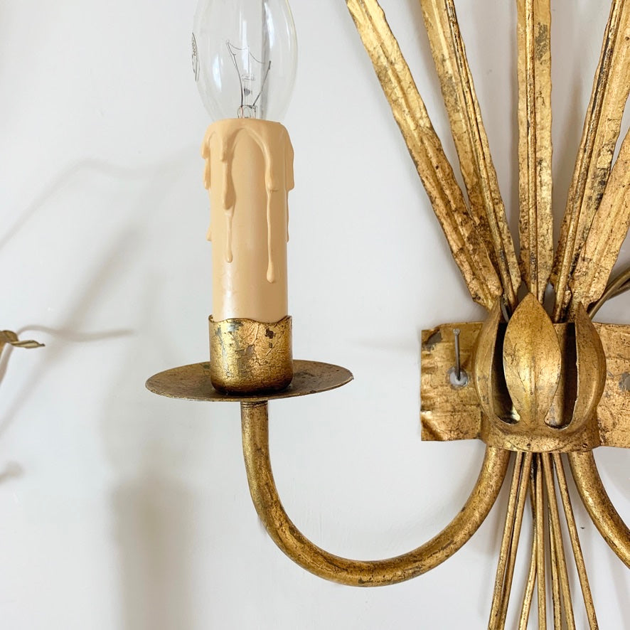 Ferro Art Gold Bulrush Wall Lights 1970's