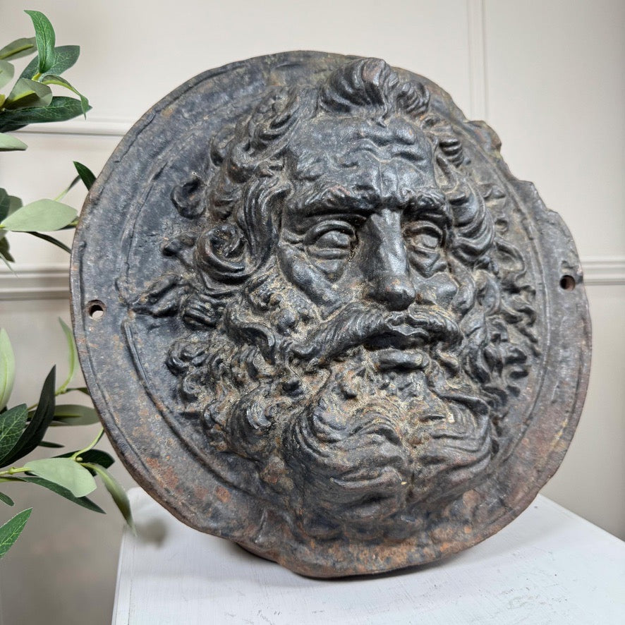 A round, dark gray cast-iron relief wall plaque featuring a carved face of Zeus  with long curly hair and a beard, displayed on a white surface with a light-colored paneled wall and green leaves in the background.