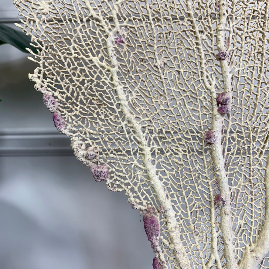 Natural Sea Fan Coral on Gilt Base