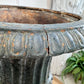Pair of High Victorian Cast Iron Campana Urns on Plinths