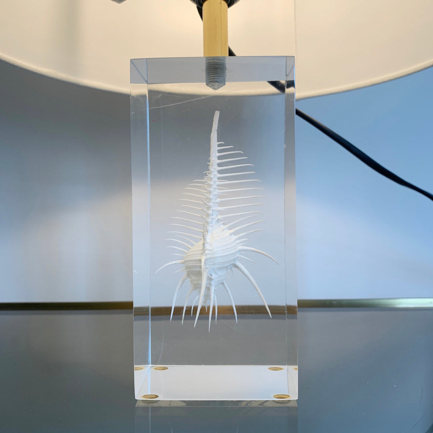 Pierre Giraudon Resin Suspension Shell Desk Lamp