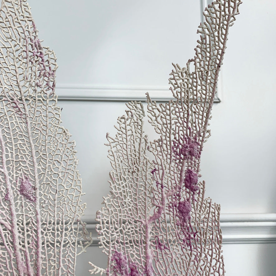 Natural Purple Sea Fan Coral mounted on a vintage brass base
