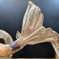 Gabriella Crespi 'Coppia di Delfini' Pair of Rams Horn and Silvered Bronze Mythical Dolphins Each Signed to Base