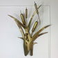1970's Italian Gold Bulrush Wall Light