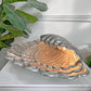 Vincent Garnier Pewter Clam Shell Table Lamp