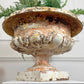 19th Century Cast Iron French Tazza Urn
