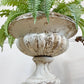 19th Century White Terracotta Tazza Urn on Plinth