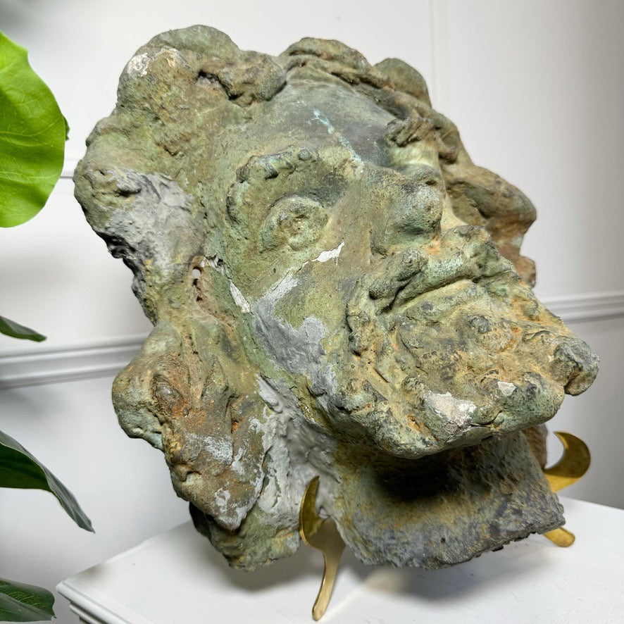 Antique Terracotta Head of a Bearded Man 19th Century France