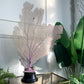 Impressive Purple Natural Sea Fan Coral with an Ebonised Base
