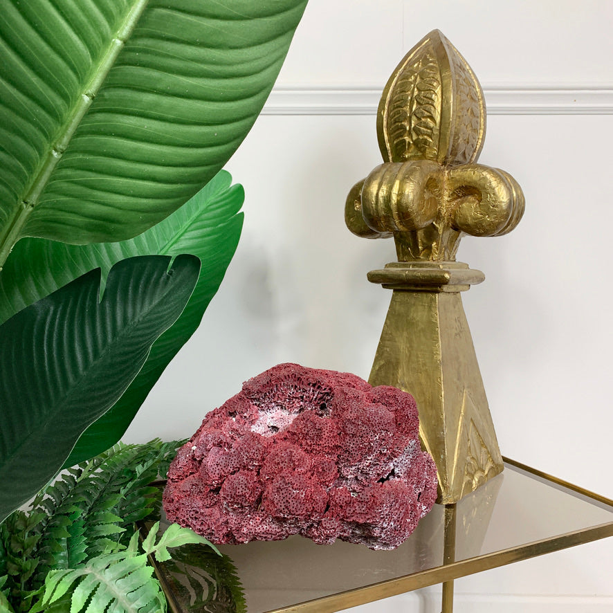 Vintage Red Natural Sea Coral